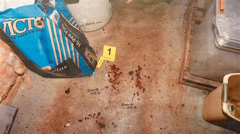 maggie murdaugh murder photos|Photo Gallery: See evidence photos from Alex。